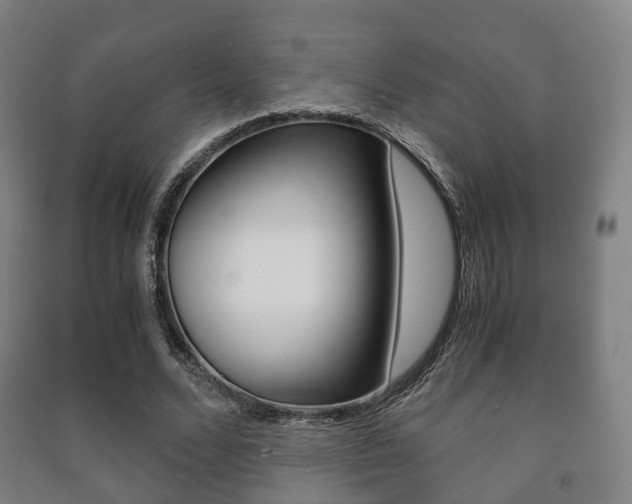 X0000091450680200708161047