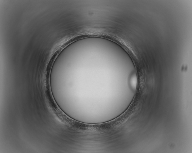 X0000091450682200708161047