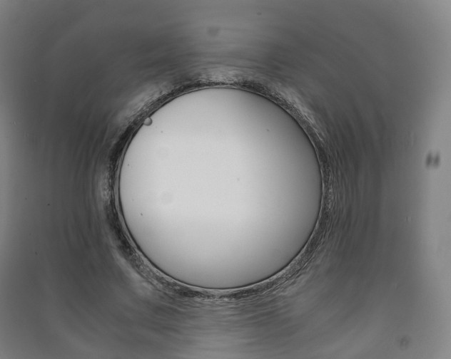 X0000091450683200708161047