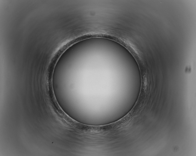 X0000091450684200708161047