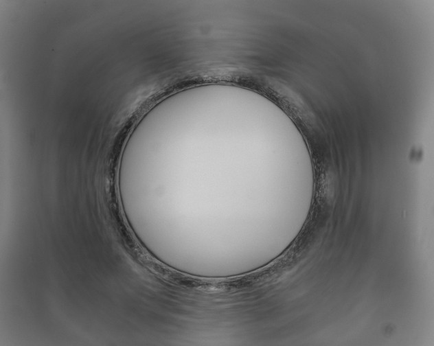 X0000091450687200708161047