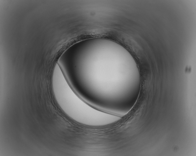 X0000091450689200708161047