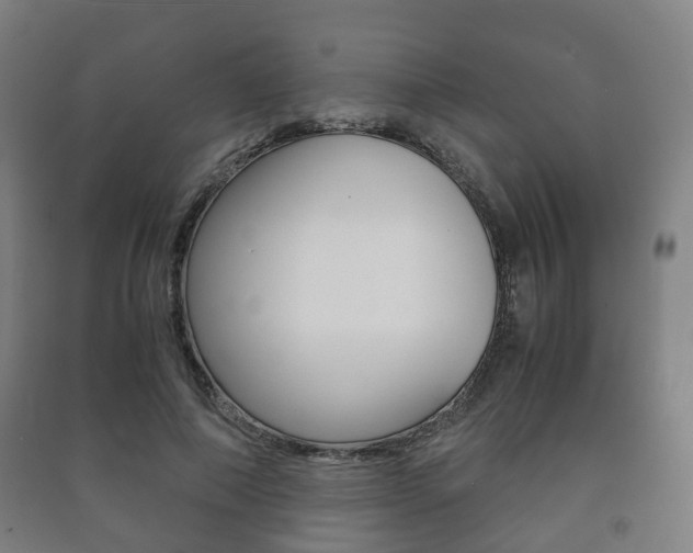 X0000091450690200708161047