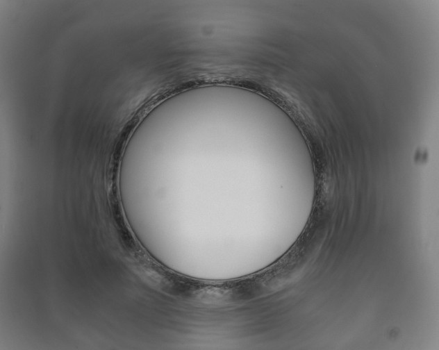 X0000091450691200708161047