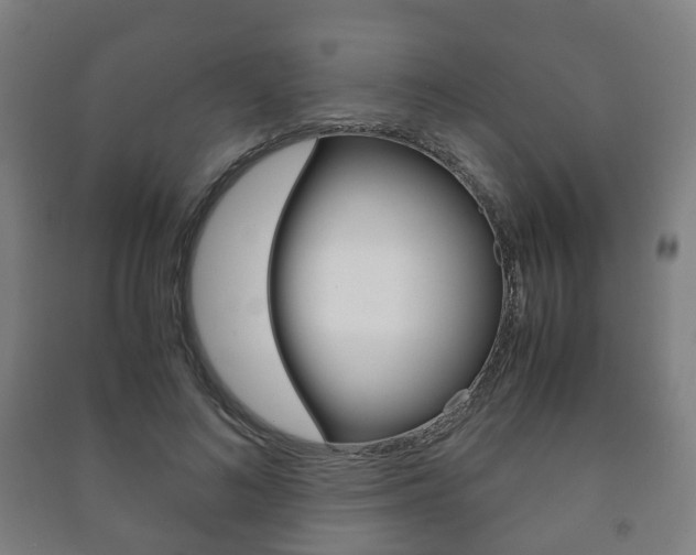 X0000091450692200708161047