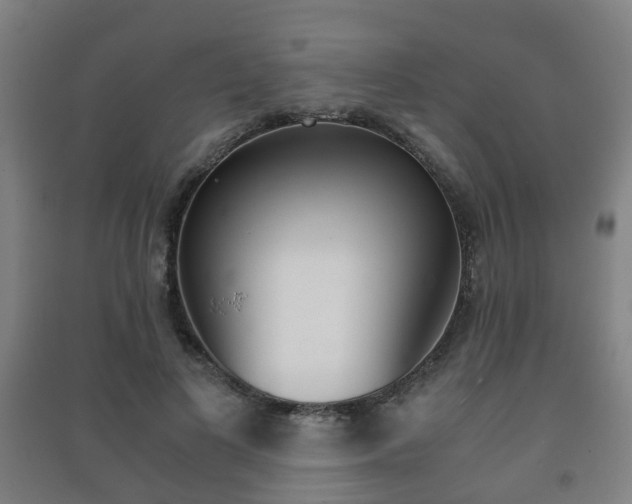 X0000091450693200708161047