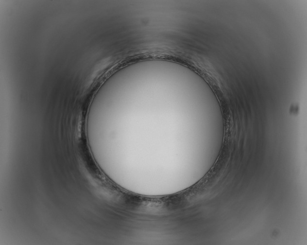 X0000091450694200708161047