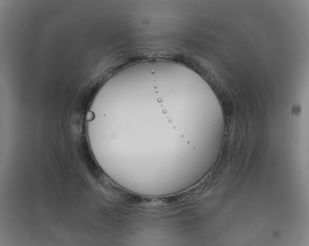 X0000091450695200708161047