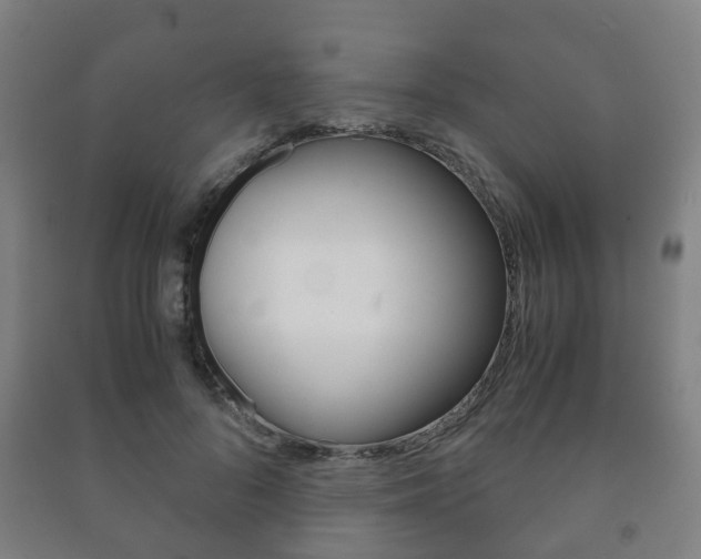 X0000091450696200708161047