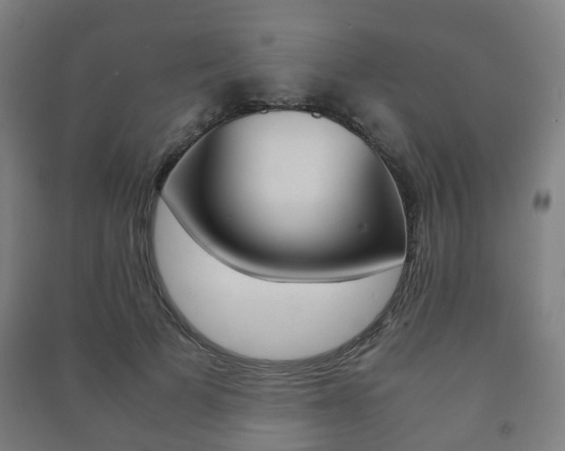 X0000091450697200708161047
