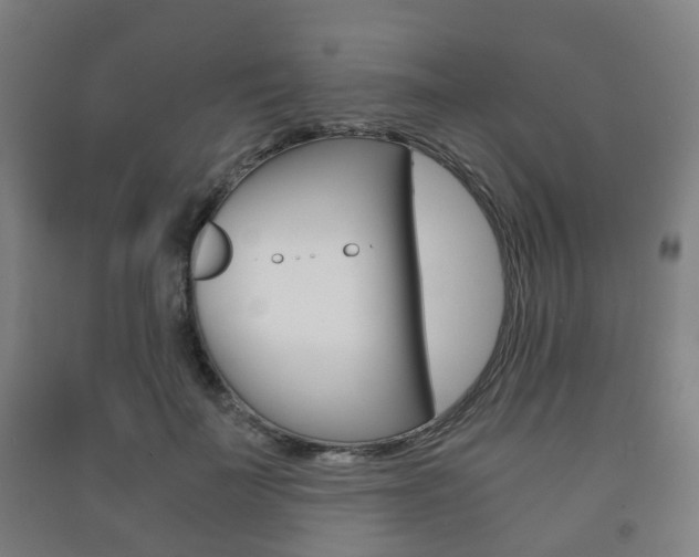 X0000091450699200708161047