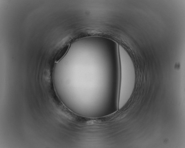 X0000091450700200708161047
