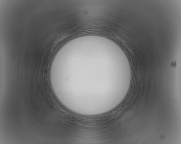 X0000091450705200708161047