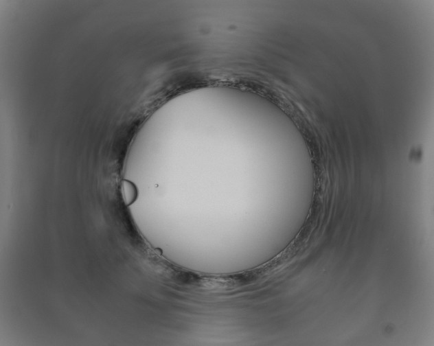 X0000091450707200708161047