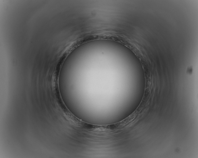 X0000091450708200708161047