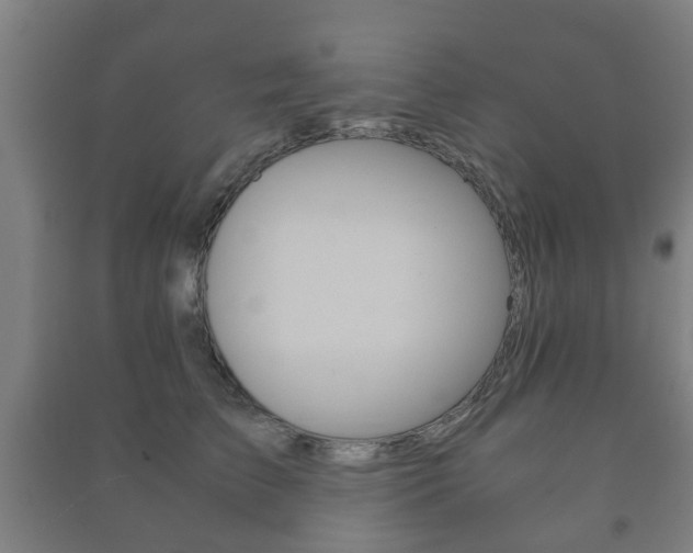 X0000091450709200708161047