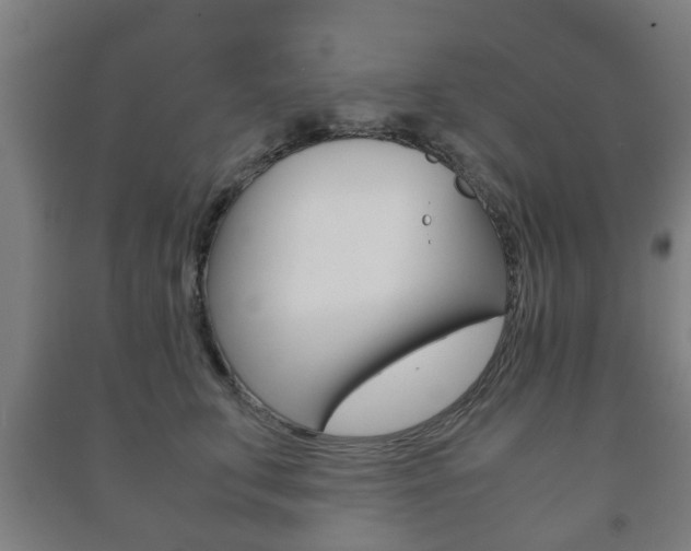 X0000091450711200708161047