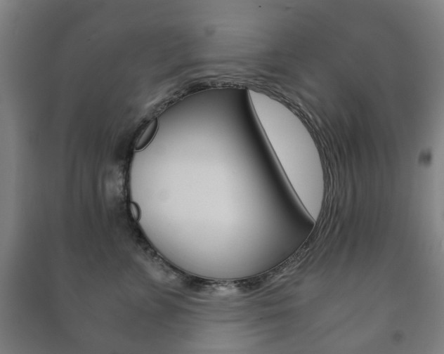 X0000091450715200708161047