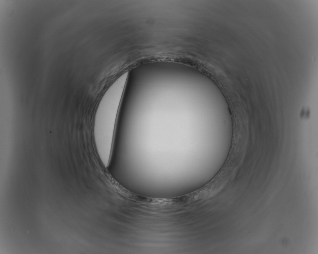 X0000091450720200708161047