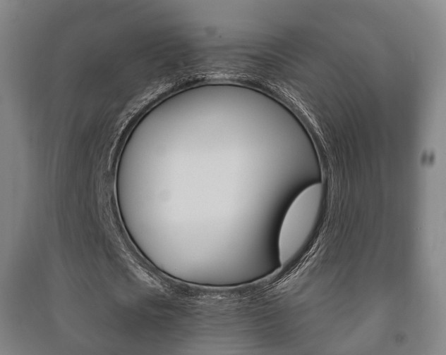 X0000091450721200708161046