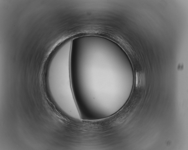 X0000091450723200708161046