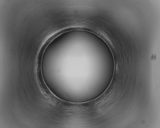 X0000091450724200708161046