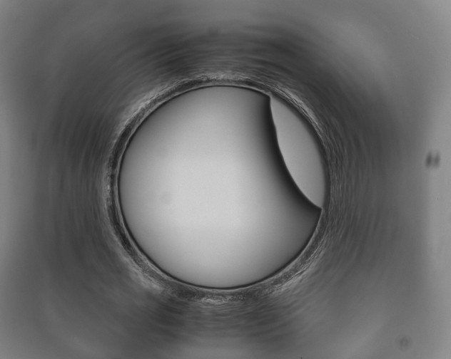 X0000091450725200708161046