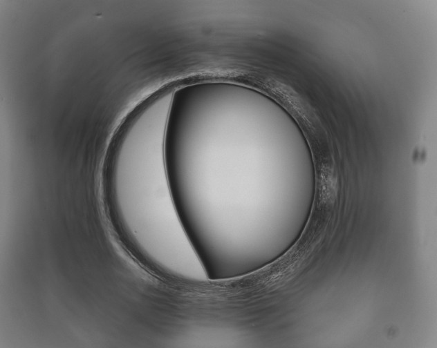 X0000091450726200708161046