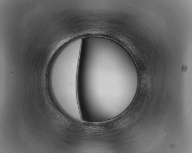 X0000091450727200708161046