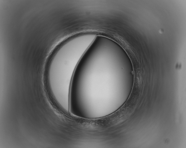 X0000091450728200708161046