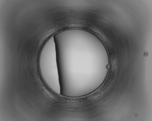 X0000091450729200708161046