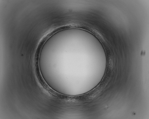 X0000091450730200708161046