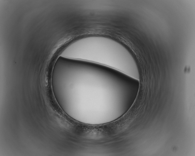 X0000091450731200708161046