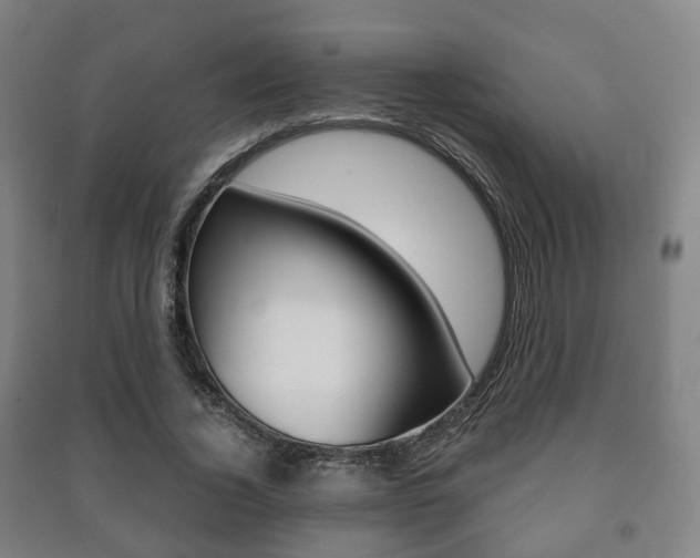 X0000091450732200708161046