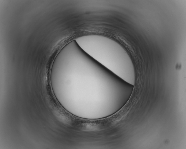 X0000091450733200708161046