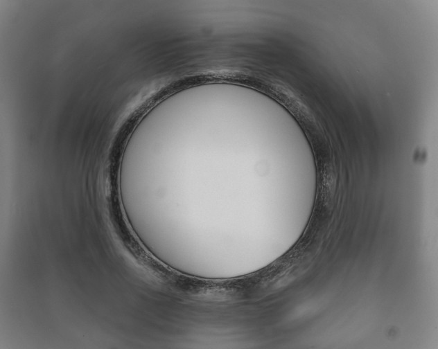 X0000091450734200708161046