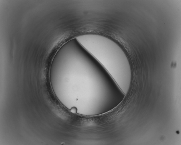 X0000091450735200708161046