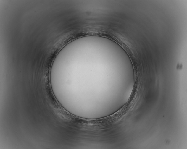 X0000091450737200708161047