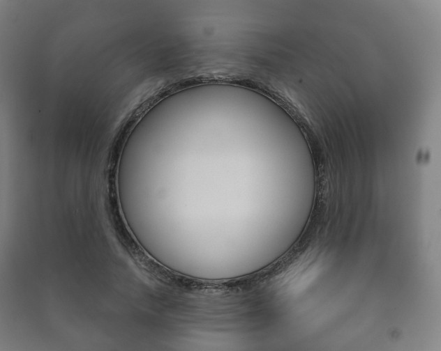 X0000091450738200708161047