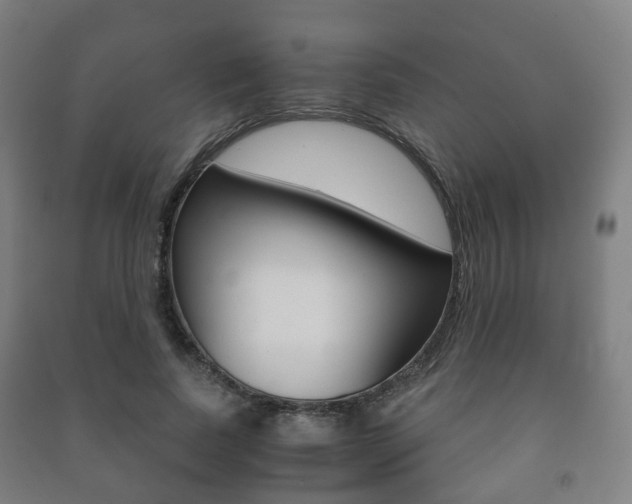 X0000091450739200708161047