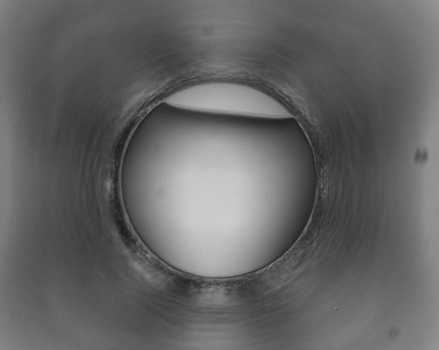X0000091450740200708161047