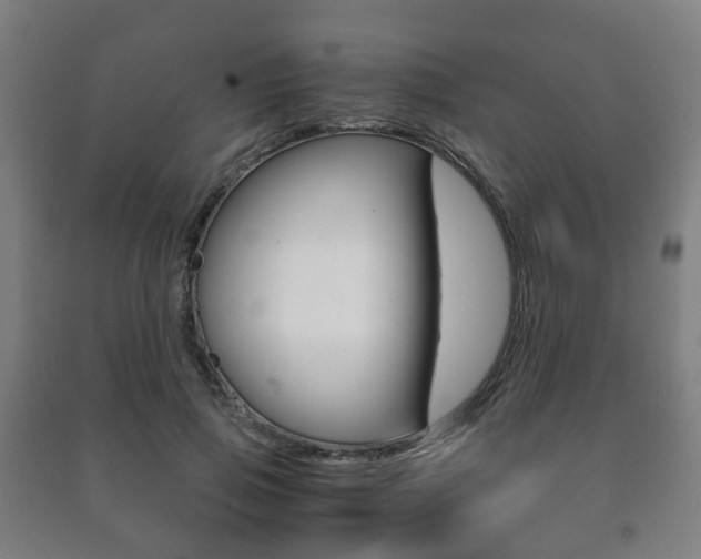 X0000091450741200708161047