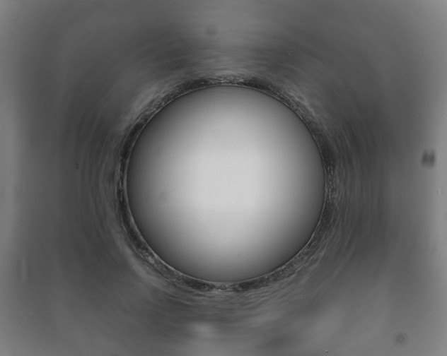 X0000091450742200708161047