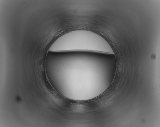 X0000091450743200708161047