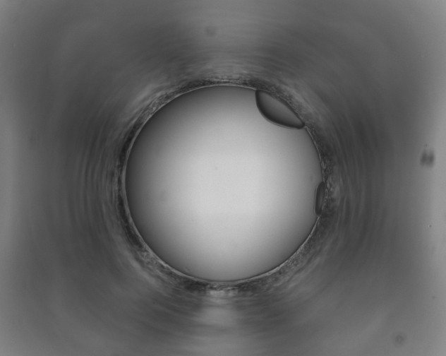 X0000091450744200708161047