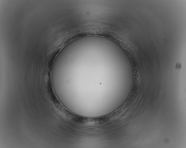 X0000091450746200708161047