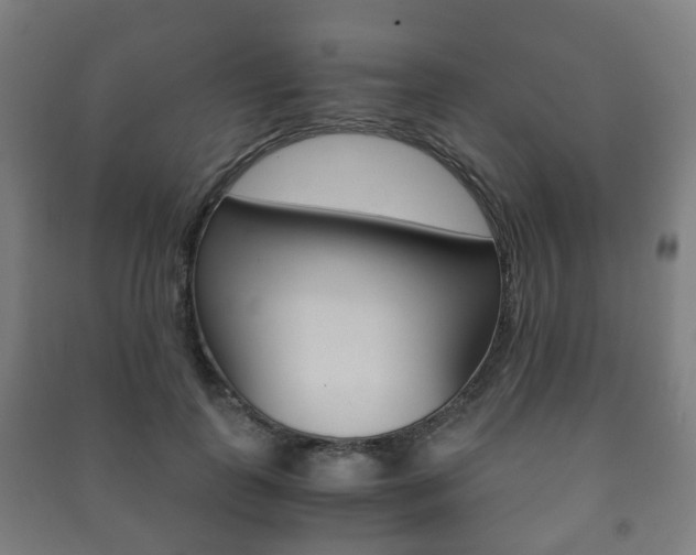 X0000091450747200708161047