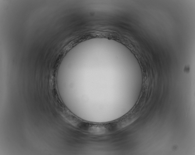 X0000091450749200708161047