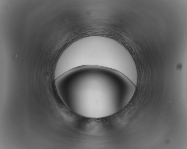 X0000091450750200708161047