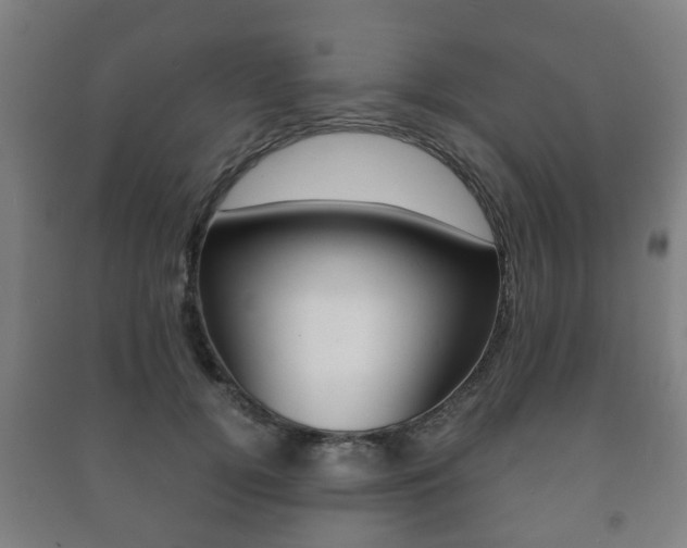X0000091450752200708161047